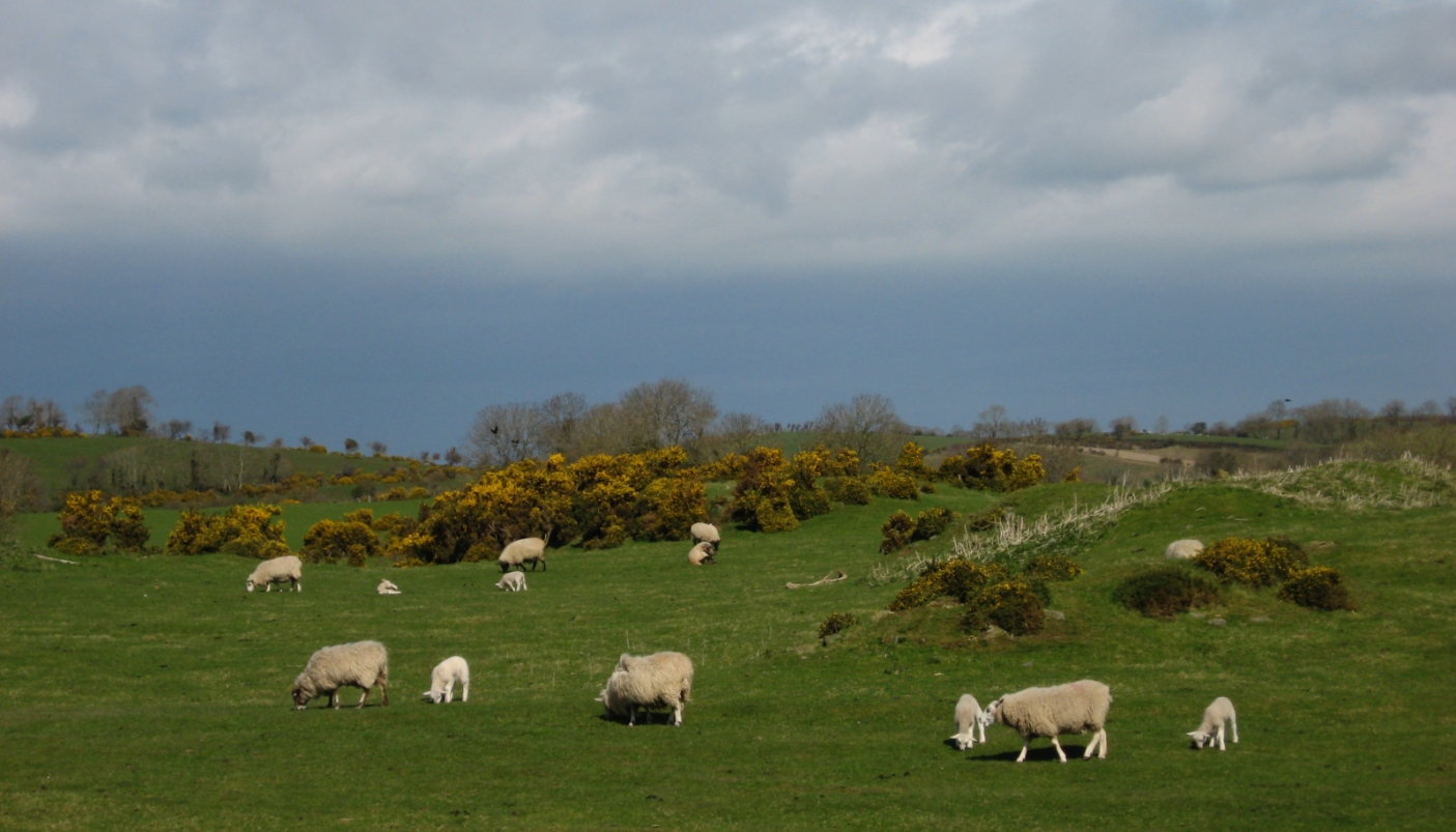 Irlanda del nord, St. Patrick's country - Foto C. Patrone 