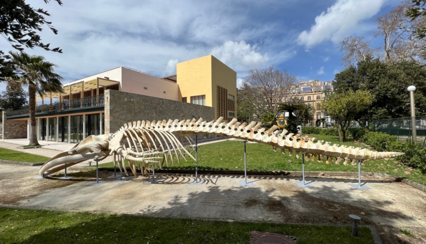 Veduta dell'esterno del museo  