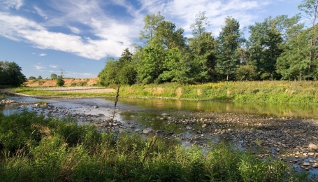 Un'area umida nel Parco Naturale Regionale La Mandria - Foto arch. EGAP Parchi Reali 