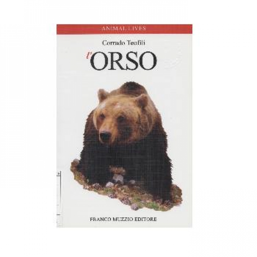L'orso.