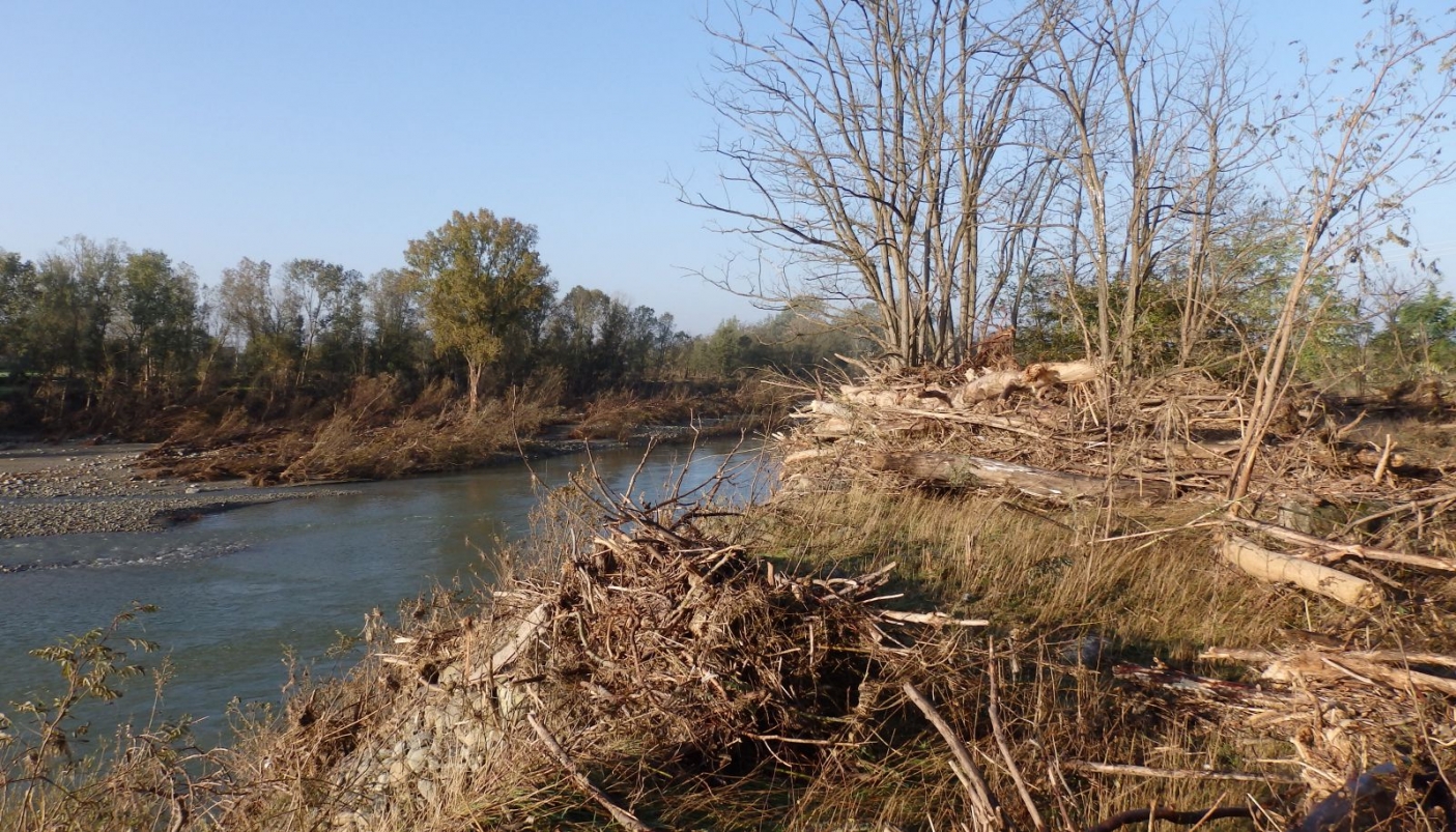 Materiale legnoso fluitato dalla piena e intercettato dalla vegetazione perifluviale. - Foto A. e P. Mandarino