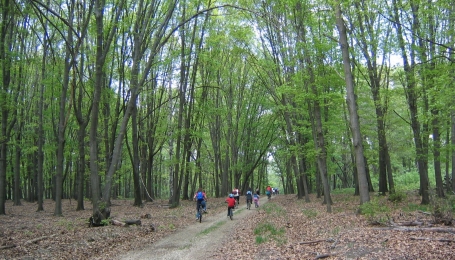 Percorso nel Parco della Mandria - Foto Archivio EGAP Parchi Reali
