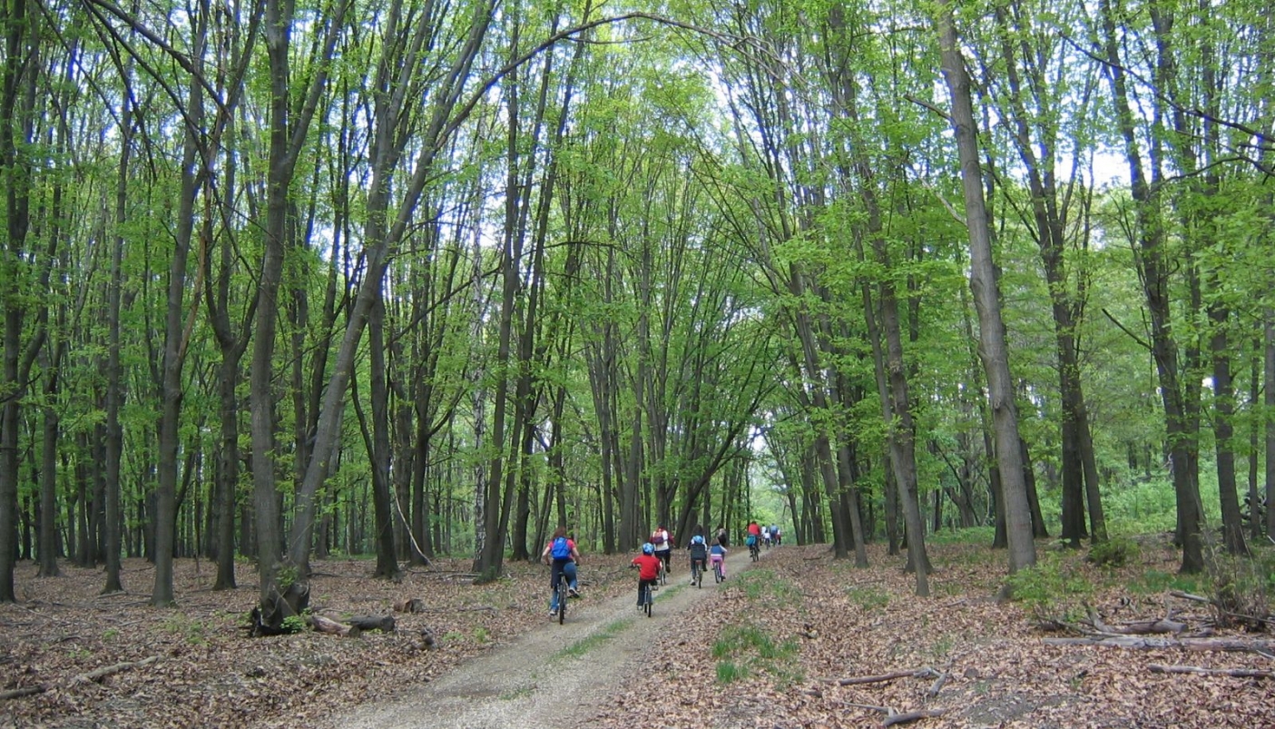 Percorso nel Parco della Mandria - Foto Archivio EGAP Parchi Reali