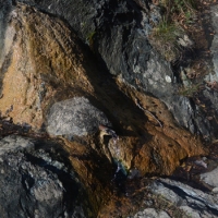 Beigua: sentiero Natura della Val Gragassa