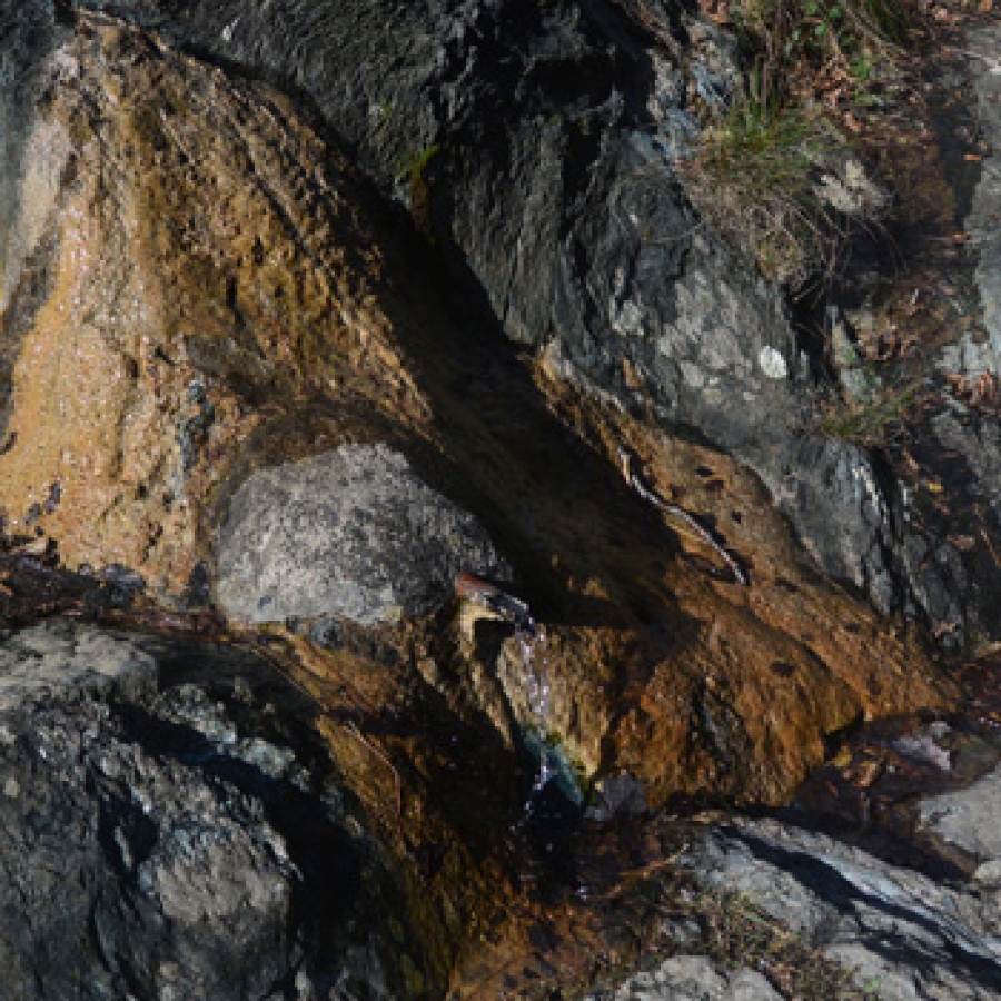 Beigua: sentiero Natura della Val Gragassa