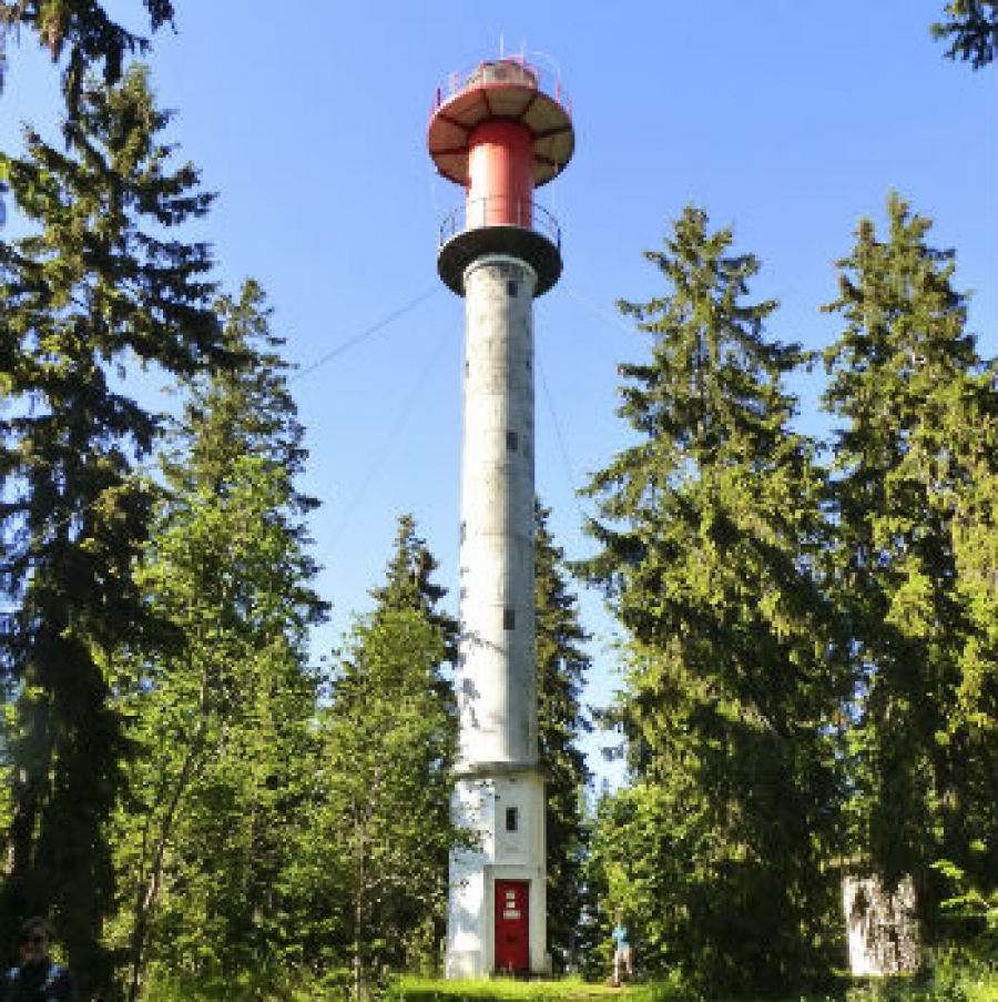 faro nel bosco -  Juminda simonetta avigdor