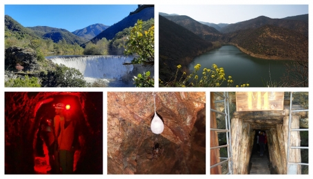 DA SX in alto in senso orario: Diga e Lago infer. Lavagnina, interno grotta, ragno con bozzolo, ingresso miniera M1 - Foto arch. EGAP Appennino Piemontese