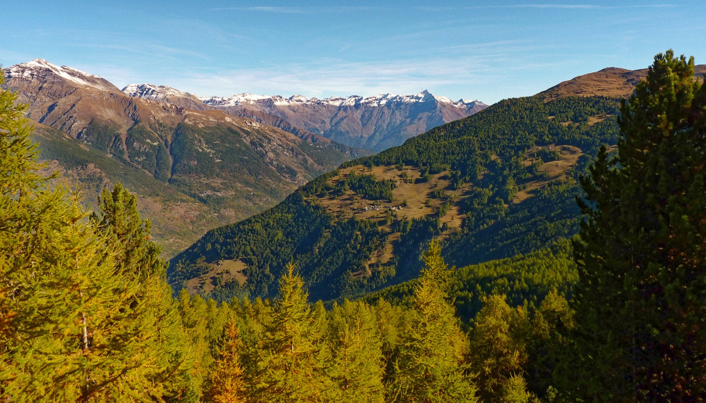 Il Gran Bosco e la Valle di Susa 