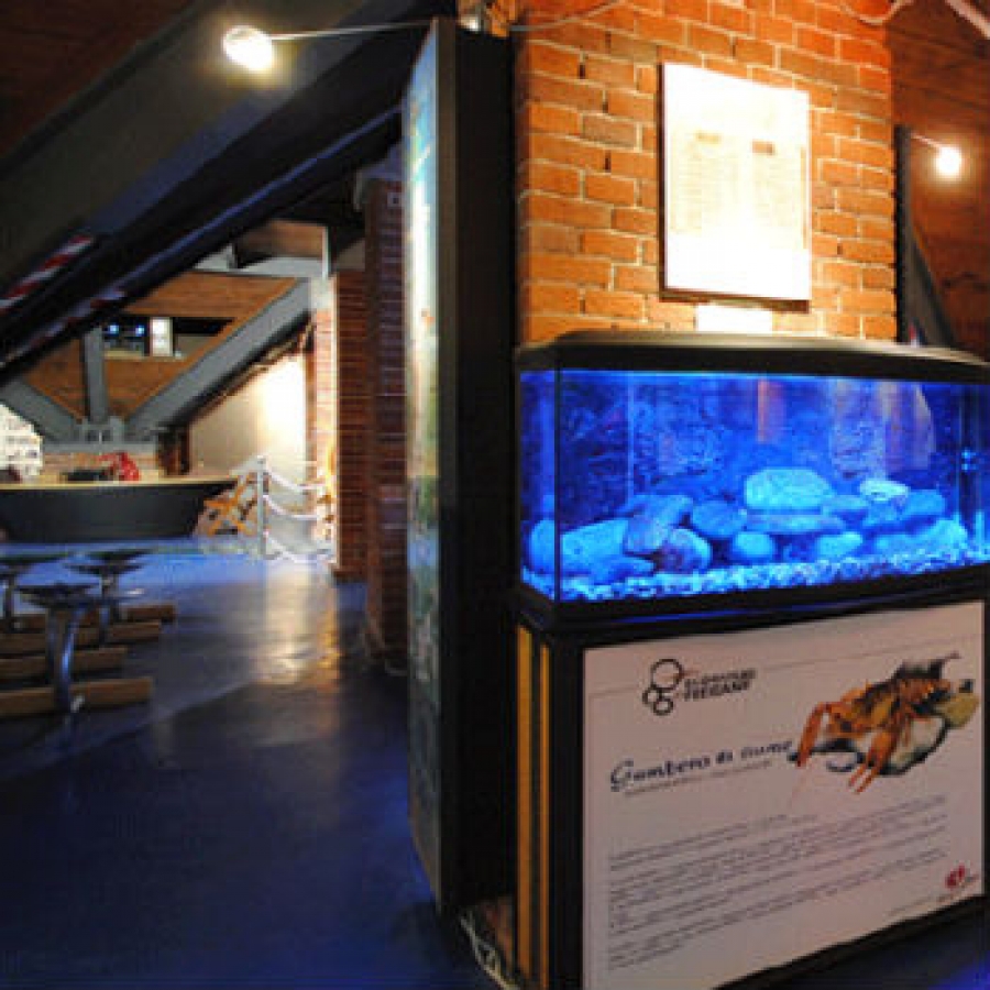 L&agrave; dove nascono gli ecomusei