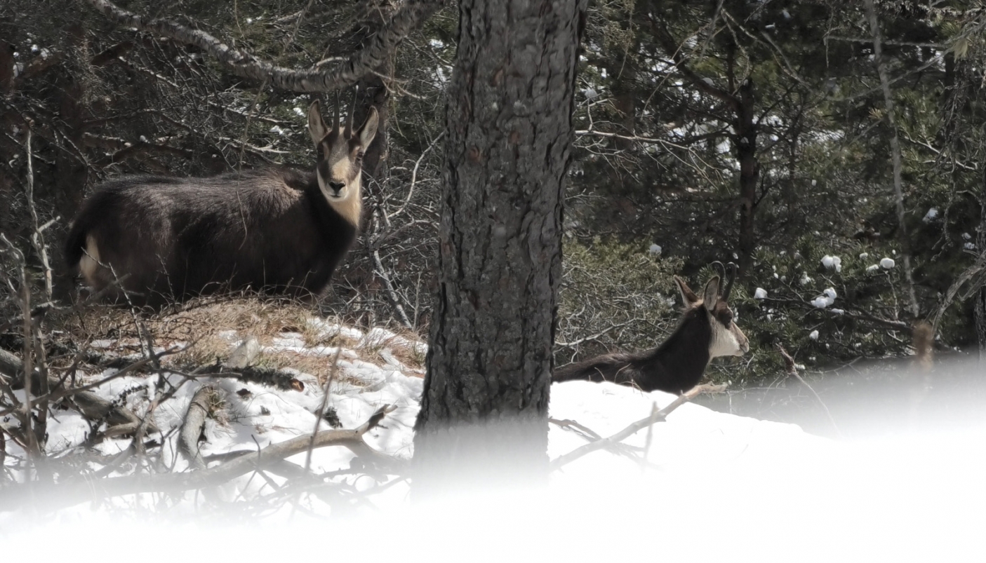 La vita durante l'inverno