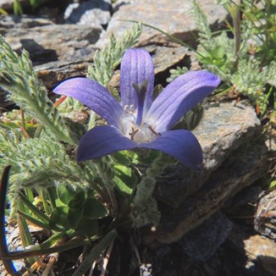 Vanoise, l&rsquo;ultimo paradiso