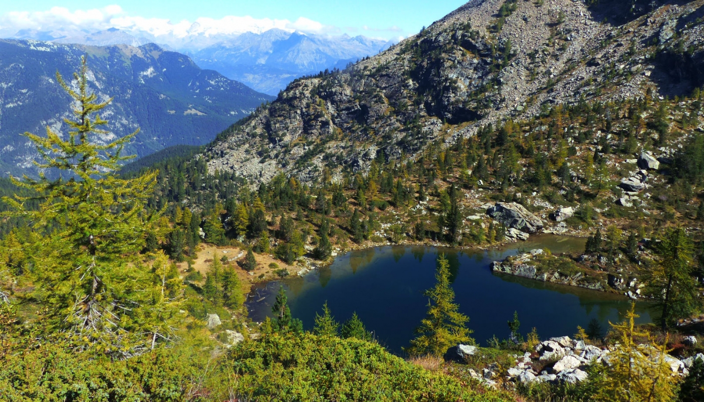 Veduta sul Parco del Monte Avic (Foto A. Corr&agrave;)
