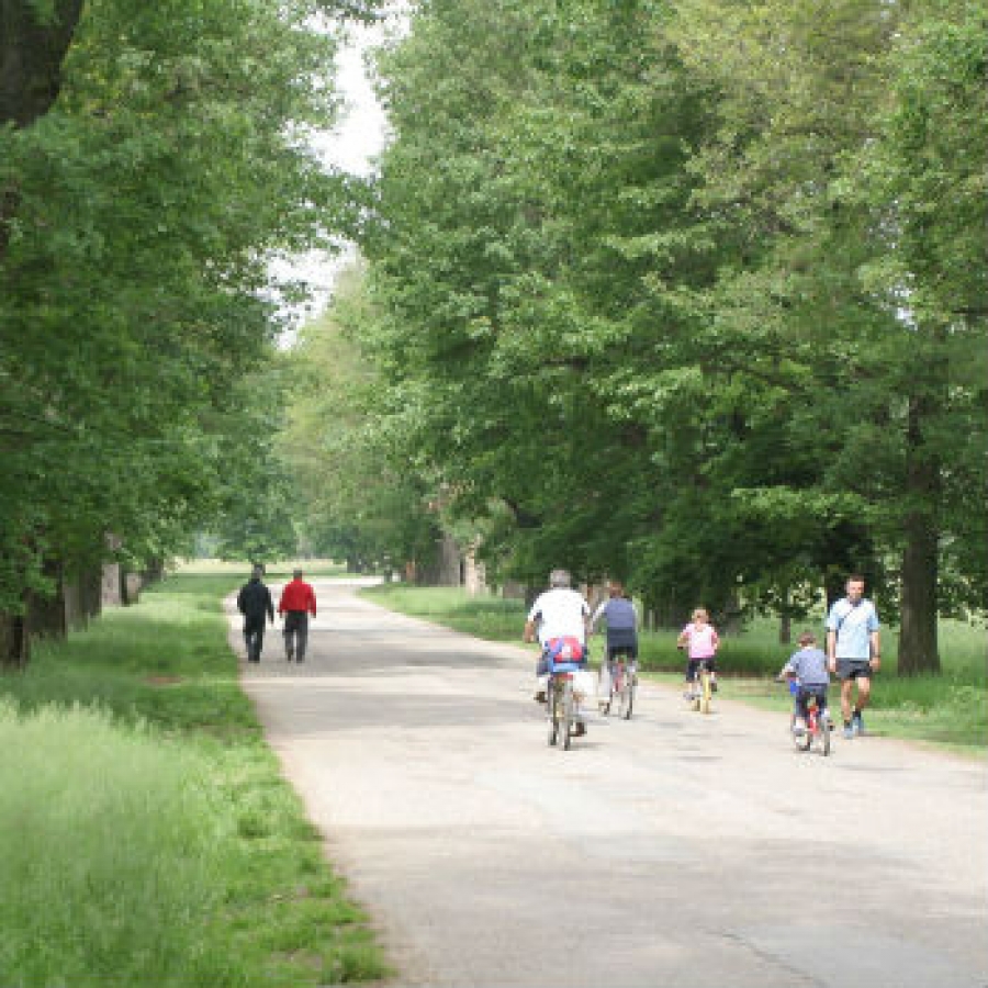 Un'immagine de La Mandria Toni Farina