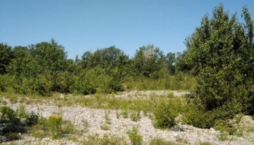 La Riserva di Castelnuovo Scrivia - Foto arch. EGAP del Po Piemontese 