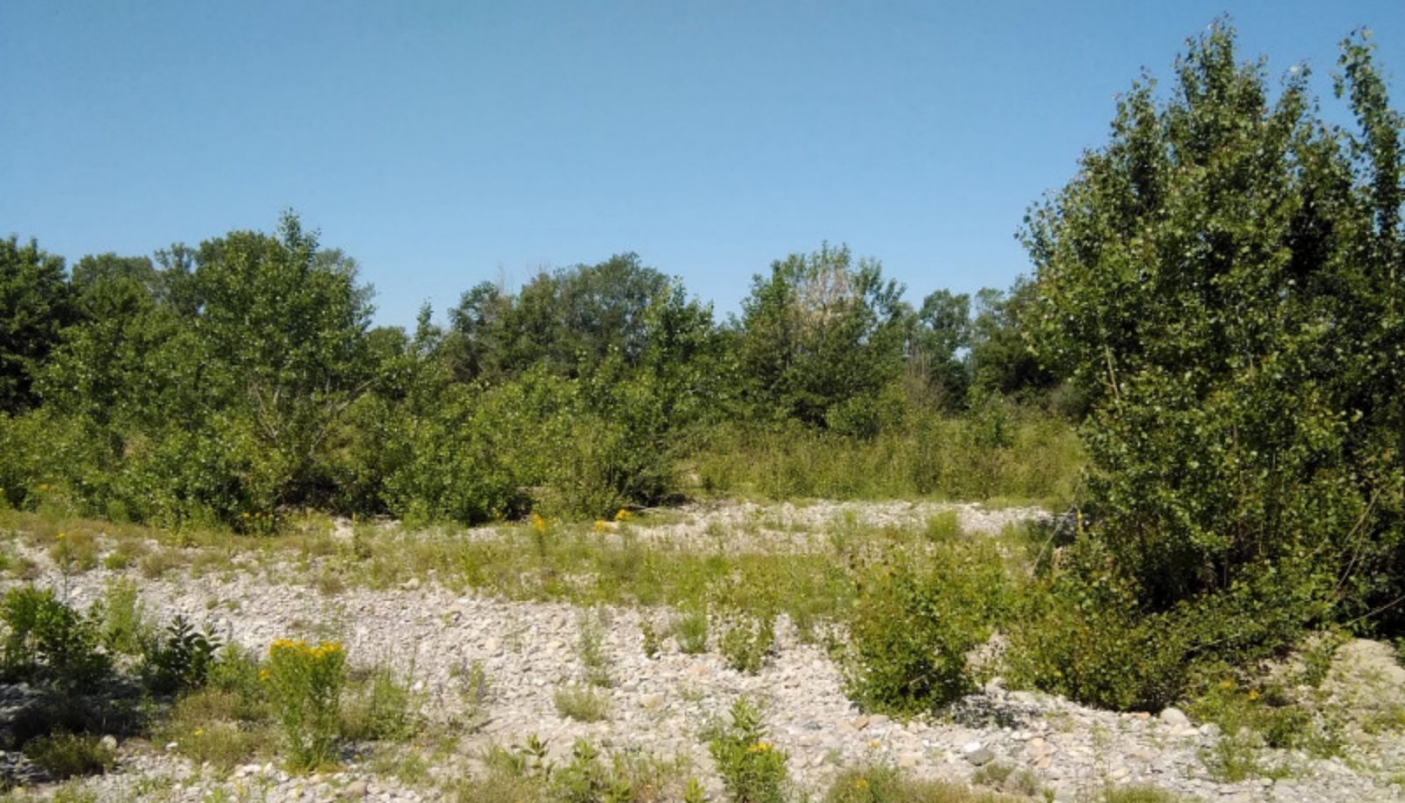 La Riserva di Castelnuovo Scrivia - Foto arch. EGAP del Po Piemontese 