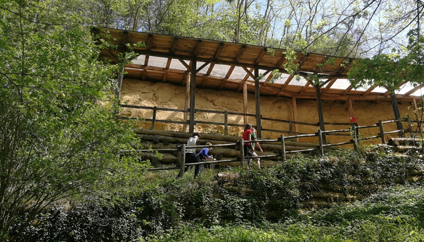 Affioramento fossilifero attrezzato in Valle Botto (AT) P. Damarco