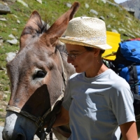 L&rsquo;amore per l&rsquo;asino: una professione? Intervista a Mario Cavallo