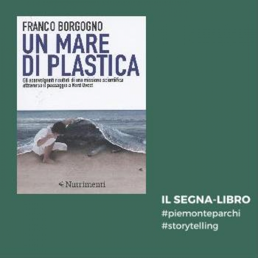 Un mare di plastica.