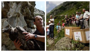 Due momenti del rilascio di Herculis: da sx Luca Giraudo e l'ex assessore Alberto Valmaggia - Foto G. Bernardi