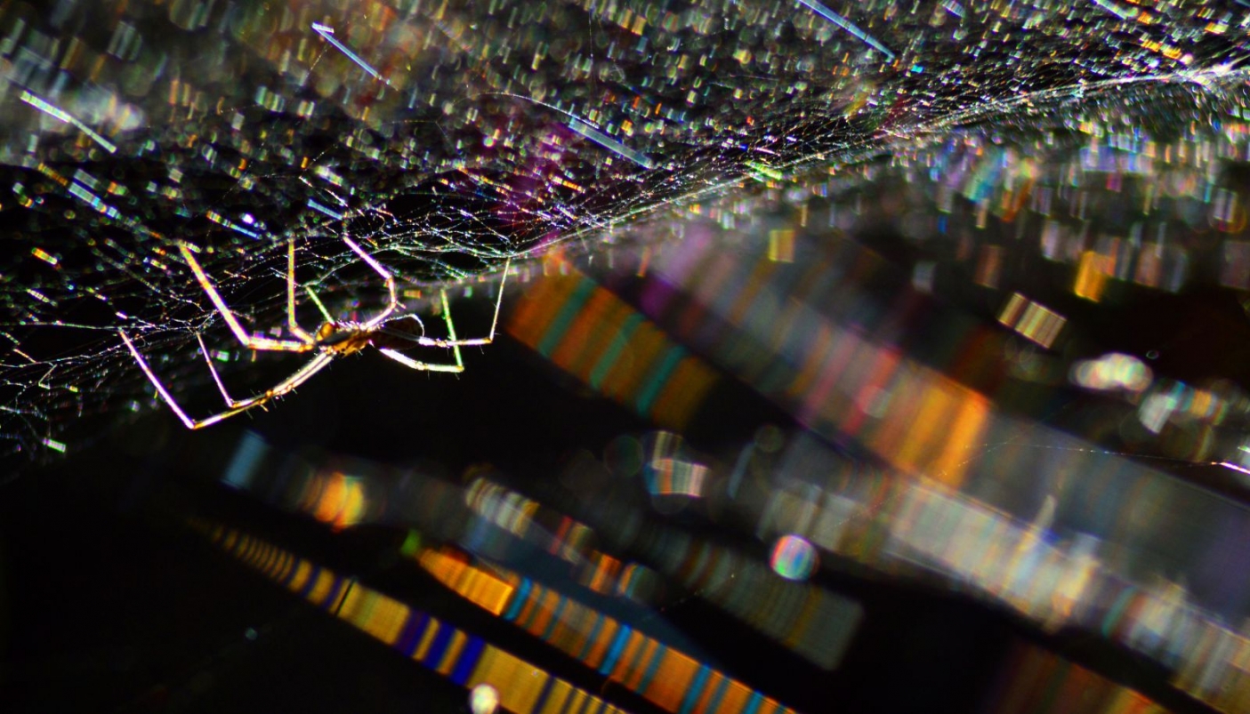 Capolavori  | Foto R. Pegolo 