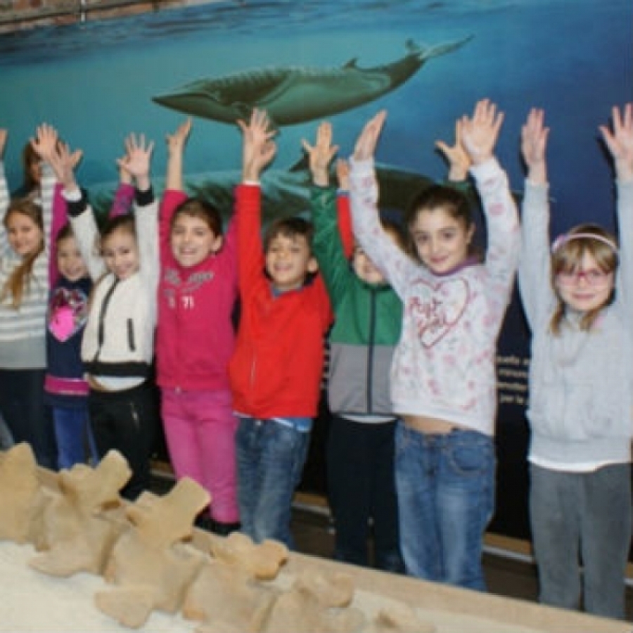 Museo paleontologico astigiano, il 20% in pi&ugrave; di visitatori