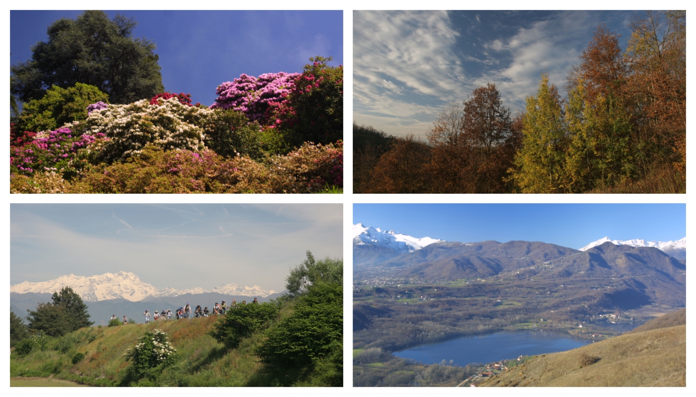 Da sx in alto (in senso orario): Parco della Burcina, Valle Andona, Lago piccolo di Avigliana, Lame del Sesia - Foto T. Farina