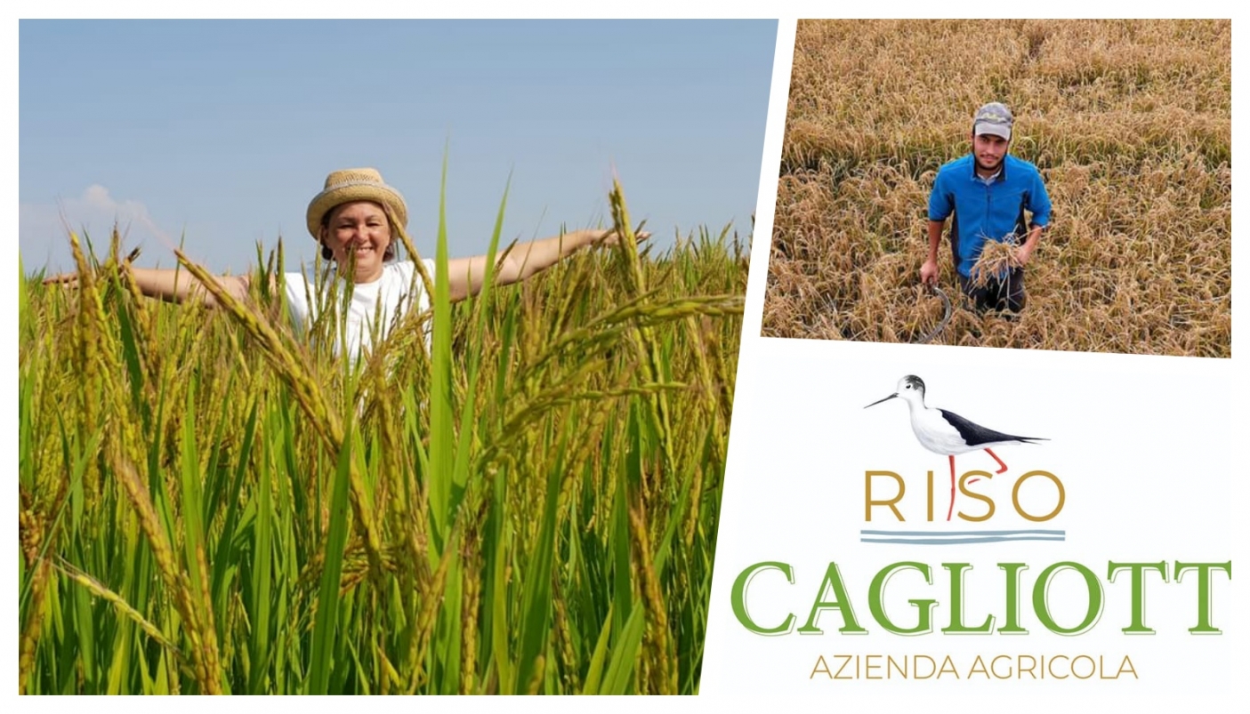 Azienda Agricola Scagliotti, ovvero il buon riso di Natura 2000