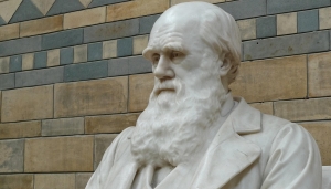 Busto di Charles Darwin - Foto Pixabay