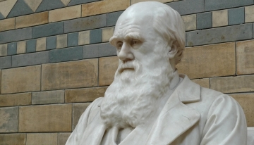 Busto di Charles Darwin - Foto Pixabay 