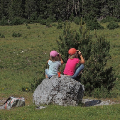 Prospettive dell&rsquo;educazione ambientale