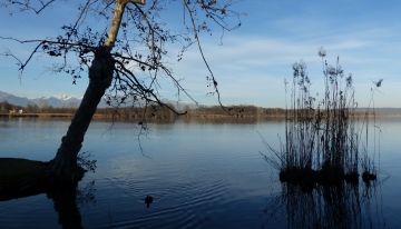 Veduta sul Lago di Candia (Foto A. Corr&agrave;)