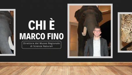 Chi &egrave; Marco Fino, nuovo direttore del Museo regionale di Scienze naturali