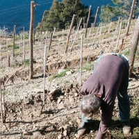 Ambiente e turismo? Alle Cinque Terre si pu&ograve;