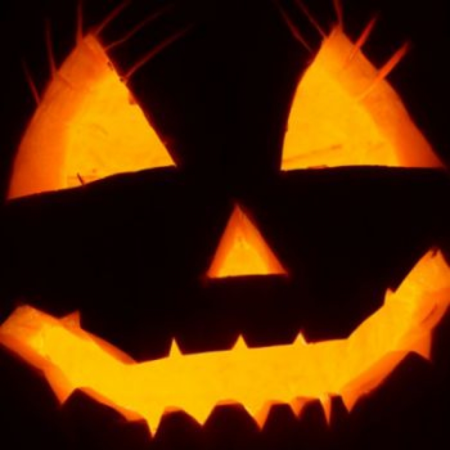 Nella notte di Halloween, rispetto per i nostri boschi