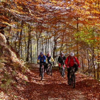 Turismo: italiani disposti a spendere di pi&ugrave; per natura e parchi