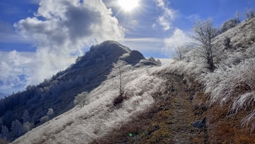 Il Tagliar&egrave; dal Colletto Bello | Foto F. Ceragioli