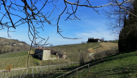 Veduta dalla Gaminella (Foto A. Corr&agrave;)