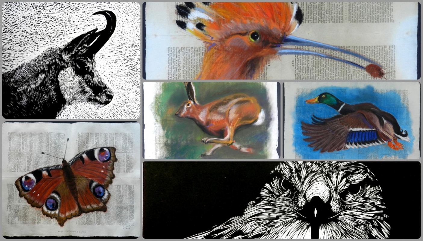 Opere di Gianni Verna - p.g.c. G. Verna