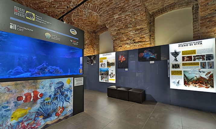 La Sala dell'acquario - Foto G. Delmastro  