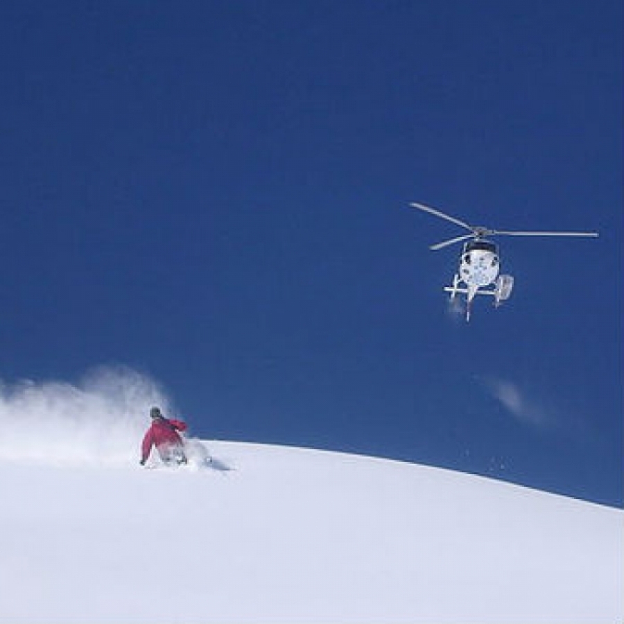 Se gli sport invernali disturbano la fauna selvatica