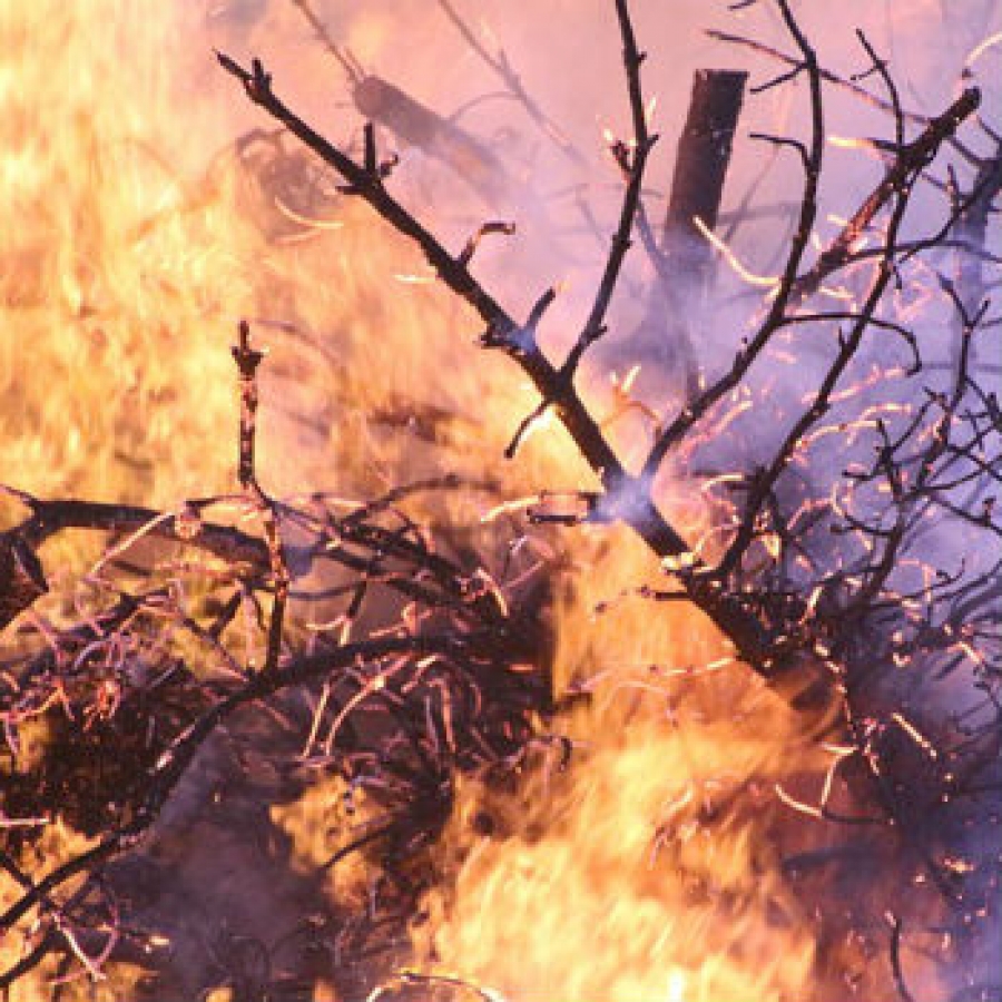 Piemonte, incendi e siccit&agrave; anche nei parchi
