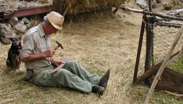 Isidoro Repetto detto "Dida di Capannette" che ribatte la falce - Foto Archivio APAP 