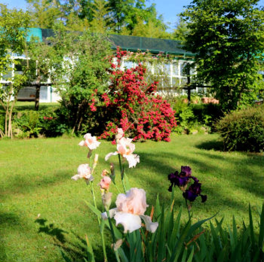 Giardino Rea foto di Loredana Matonti