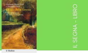 Elogio della foresta