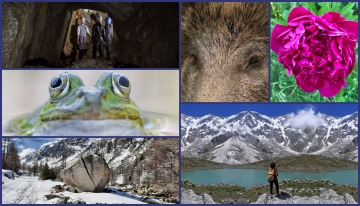 Wrapped di Piemonte Parchi