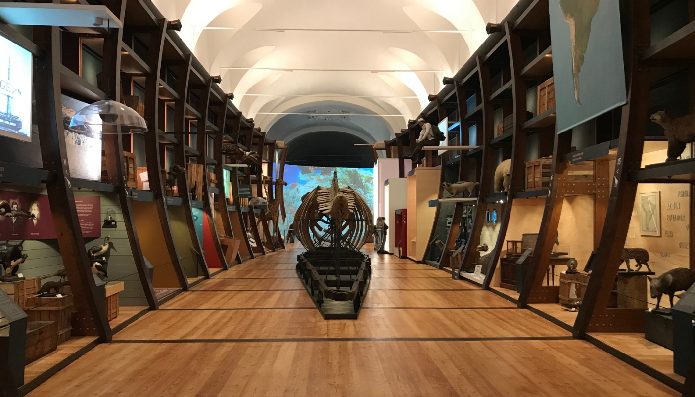 La Sala dell'Arca  