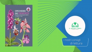 Una guida al riconoscimento delle orchidee del Piemonte