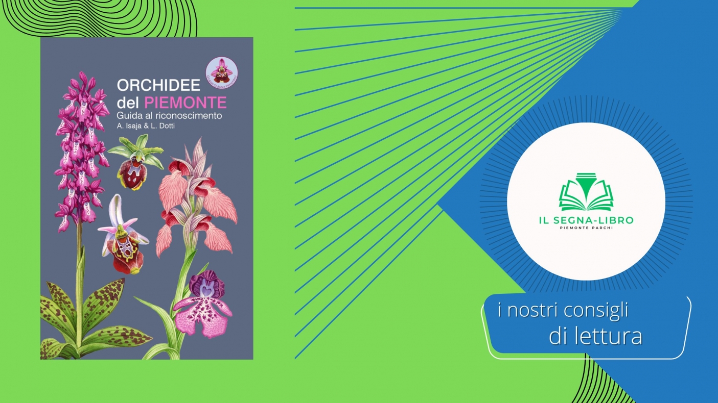 Una guida al riconoscimento delle orchidee del Piemonte