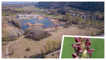 Il sito di Malpasso (foto Arc. Aree protette Alpi Cozie)  