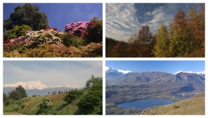Alcune immagini delle aree protette piemontesi - Foto T. Farina